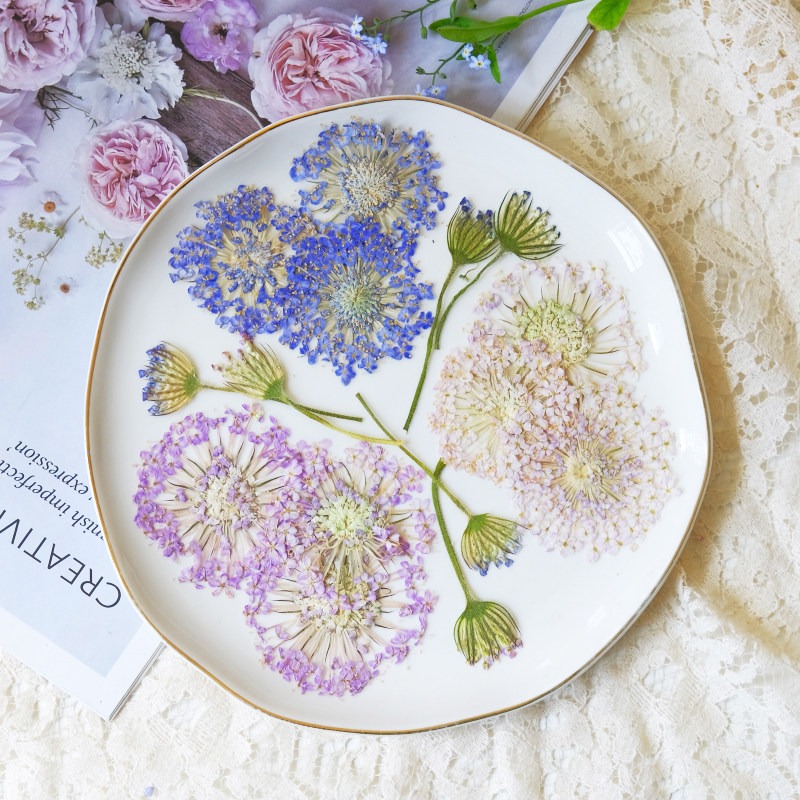 Dried Flower Bookmark - 12 قطعة من الزهور الطبيعية المجففة